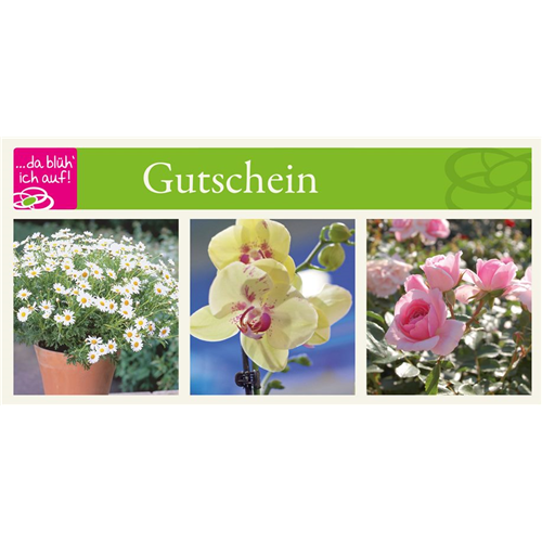 Motiv 1 - Geschenkgutschein 