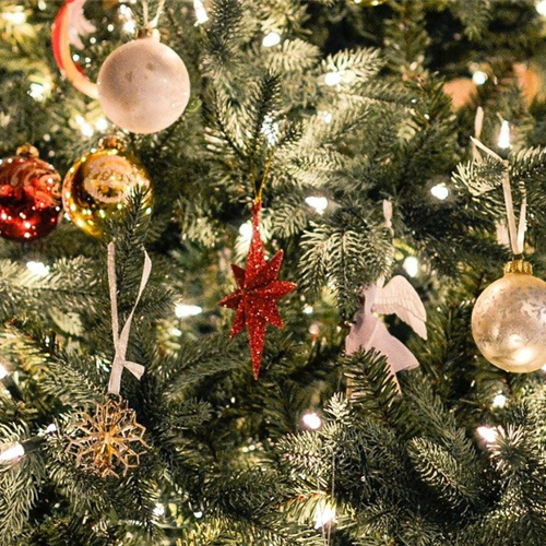 Gartenkalender Dezember 2026