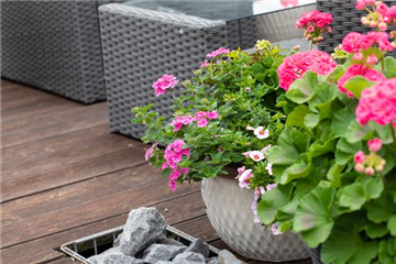 Den Balkonkasten dauerhaft begrünen