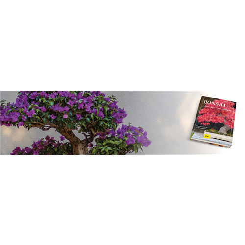 Buch des Monats November 2024